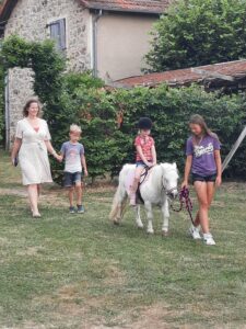 Lees meer over het artikel Onze paarden