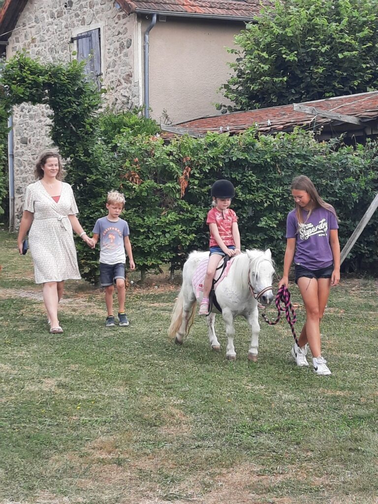 Lees meer over het artikel Onze paarden