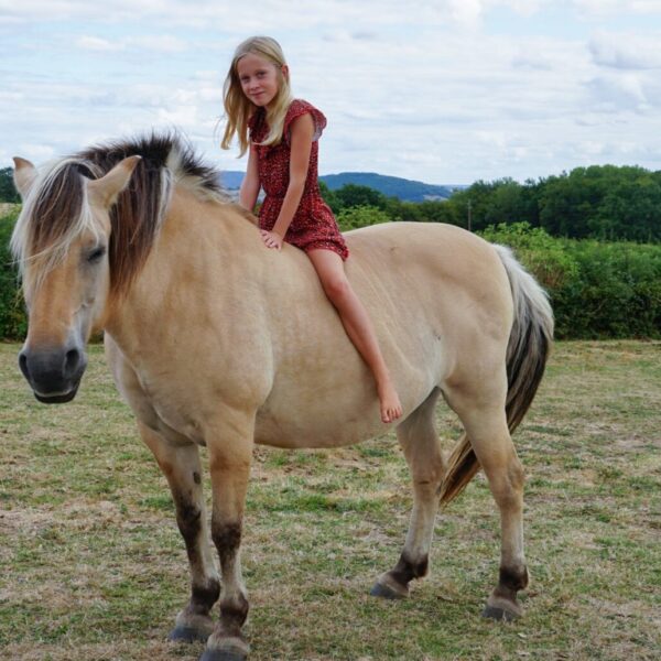 Kleinschalige camping Frankrijk