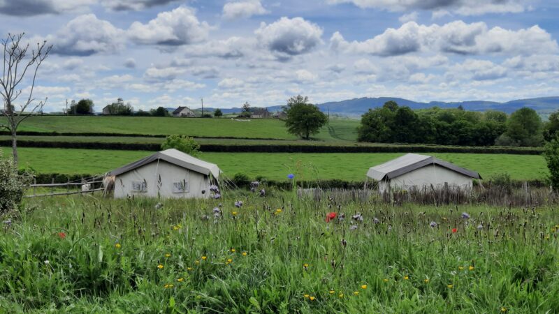 Asterix en Obelix - Safari tent zonder sanitair. Camping - Le Petit Mont Perroux