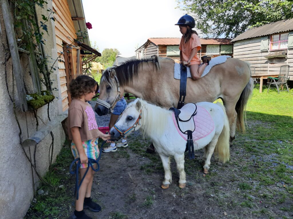 Camping met paarden Frankrijk